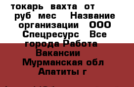 токарь. вахта. от 50 000 руб./мес. › Название организации ­ ООО Спецресурс - Все города Работа » Вакансии   . Мурманская обл.,Апатиты г.